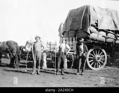 Négatif - Deniliquin District, New South Wales, 1932, un chariot tiré par des chevaux chargés de balles de laine sur le point de partir pour la station de Willurah Deniliquin (une distance de 40 km). Deux hommes, holding de fouets, de se tenir en face Banque D'Images