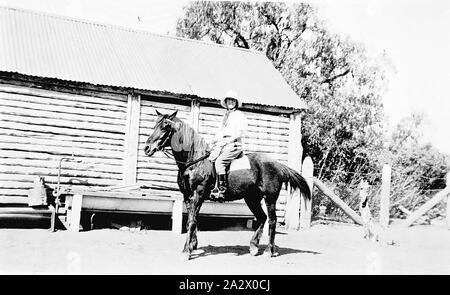 Négatif - Deniliquin District, New South Wales, 1932, une jeune femme à cheval sur 'Willurah' station. Les écuries se trouvent à l'arrière-plan. Les écuries sont construites à partir de billes et ont un toit en tôle ondulée Banque D'Images