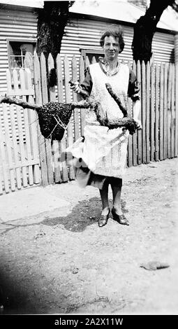 - Négatif Raywood, Victoria, 1933, une femme tenant une branche d'arbre au poivre sur lequel un grand essaim d'abeilles s'est installé. Elle est debout devant une clôture et il y a une maison en bois derrière Banque D'Images