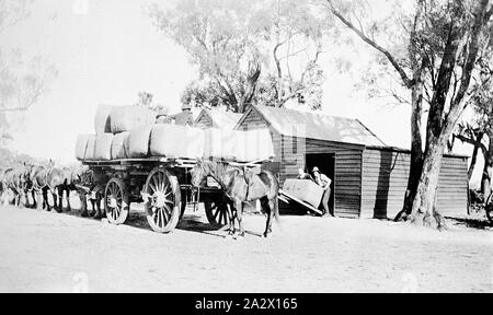 Négatif - Fernihurst, Victoria, vers 1915, les hommes de laine matériel roulant balles sur wagon Banque D'Images