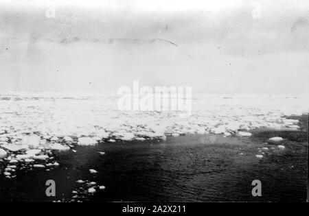 Photographie - par George Rayner, Biscoe Island, Antarctica, 1927-1939, photographie prise lors d'une expédition en Antarctique et les îles sub-antarctiques, vers 1934. Prise par George Rayner Banque D'Images