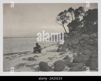 Photographie - "There's No Place Like Home', Flinders Island, 1893, l'un des soixante-neuf noir et blanc et photographies sépia dans un album relié de [six] lâche qui sont prises par A. J. Campbell, ornithologue et photographe lors d'un Field Naturalists' Club of Victoria de savants dans le groupe d'îles Furneaux, le détroit de Bass, en novembre1893.L'album comprend également une carte de la Kent Groupe d'îles dans l'intérieur de la couverture et de nombreux contemporary Banque D'Images