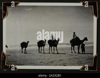 Photographie - l'équipe 'Chameau' sur la plage, au Moyen-Orient, Sœur Isabel Erskine Plante, la seconde guerre mondiale, 1941, l'un des 135 photographies en noir et blanc contenues dans une seconde guerre mondiale, album de photographies avec des photographies de Sœur Isabel Erskine Plante en uniforme, sur les vues de la région du Moyen-Orient et de Guinée - la seconde guerre mondiale. L'album appartenait à Sœur Isabel Erskine Plante, une infirmière à l'Hôpital général de l'Australie 7ème en Palestine Banque D'Images