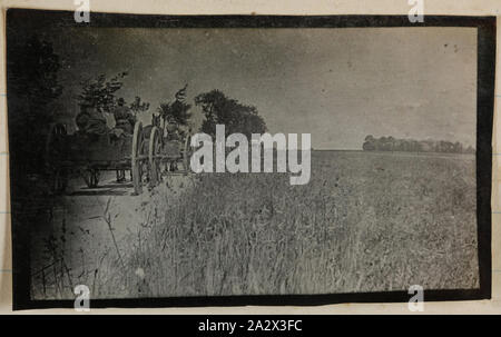 Photographie - Voyage itinérant en charrettes près d'un champ, la Belgique, le Soldat John Lord, la Première Guerre mondiale, 1916, l'une des 75 photographies en noir et blanc en noir couvert album, prises en France et en Belgique pendant la Première Guerre mondiale par le Sergent John Lord. Ces photos fournissent un enregistrement de certains des objets et des lieux que Jean seigneur vit en Belgique et en France et les lieux qui l'intéressaient le plus. Ceux-ci comprennent les camps militaires, Chateau, trains, un avion, les populations locales, d'autres soldats, les chevaux et les camions Banque D'Images