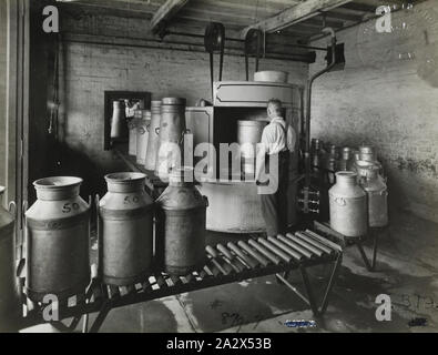 Photographie - Schumacher Mill Ameublement fonctionne, l'intérieur de l'usine avec des bidons de lait, de Port Melbourne, Victoria, vers les années 1940, en noir et blanc d'une image promotionnelle de l'intérieur de l'usine montrant deux hommes travaillant sur une ligne de production avec des bidons de lait. Il fait partie d'une collection de photographies et de l'imprimante marqué exemplaire utilisé dans la préparation de la documentation commerciale la promotion de produits fabriqués par l'usine de meubles de Schumacher travaille Pty Ltd. Les éléments ont d'abord été installé dans un tiroir en bois Banque D'Images