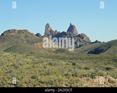 Mule Ears Peaks, Big Bend National Park, Texas Banque D'Images