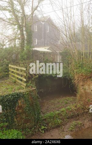 Countess Wear fabrique de papier et de ruines par le Moulin de Leat Winters Day. Exeter, Devon, UK. Banque D'Images