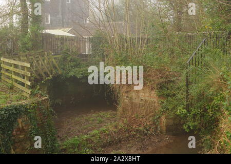 Countess Wear fabrique de papier et de ruines par le Moulin de Leat Winters Day. Exeter, Devon, UK. Banque D'Images