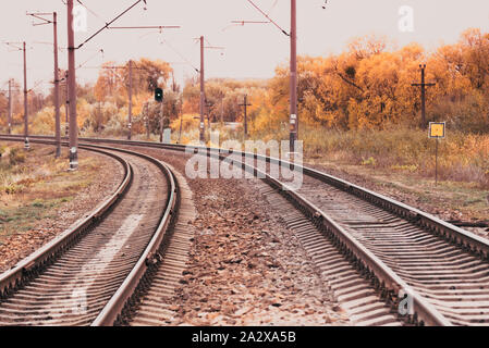 Perspective de la voie de chemin de fer avec des feuilles de tilleul d'or sur elle. Banque D'Images