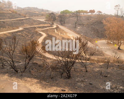 Grand angle de jour de Grant Park, dans la région de Ventura, Californie, après l'incendie 2017 Thomas. Banque D'Images