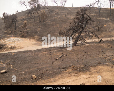 Grand angle de jour de Grant Park, dans la région de Ventura, Californie, après l'incendie 2017 Thomas. Banque D'Images