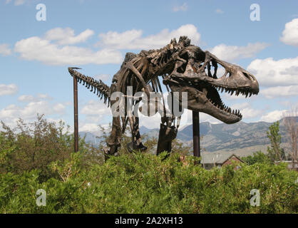 Tyrannosaurus rex squelette monté, musée des Rocheuses, Bozeman, Montana, USA Banque D'Images