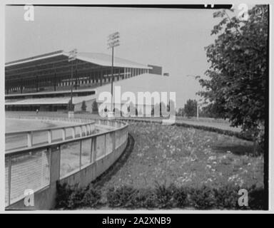 Roosevelt Raceway, Westbury, Long Island. Banque D'Images