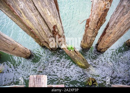 Old pier pourri pourri avec des pieux battus dans le fond de la baie et du métal rouillé pour un fonctionnement fiable des liens le jeu de pièces de la jetée à la bouche Banque D'Images