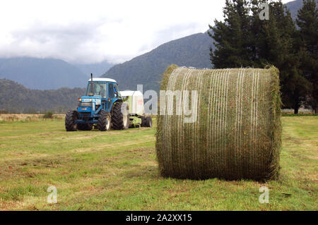 Greymouth, Nouvelle-Zélande, le 22 février 2008 : la mise en balles du tracteur jusqu'grosses balles rondes d'herbe pour l'ensilage, West Coast, South Island, New Zealand Banque D'Images