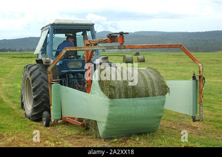 Greymouth, Nouvelle-Zélande, le 22 février 2008 : le tracteur de balles d'enrubannage, ensilage, côte ouest de l'île du Sud, Nouvelle-Zélande Banque D'Images