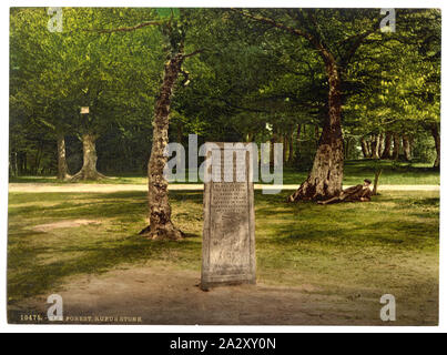 Rufus Stone, New Forest, Winchester, Angleterre ; titre de la Detroit Publishing Co., catalogue J-section étrangère, Detroit, Michigan : Detroit Publishing Company, 1905 ; n° d'impression. 10475. ; fait partie de : Vues de l'Angleterre dans l'Photochrom collection imprimée. ; Banque D'Images