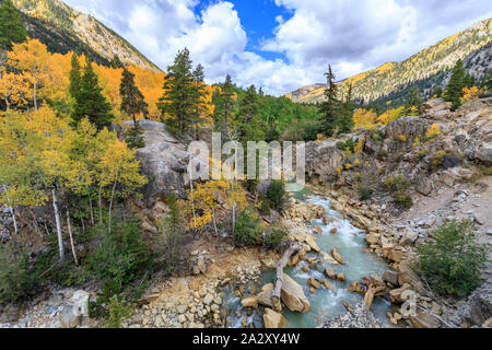 Colorado raodside près de tremble dans la couleur de l'automne Banque D'Images