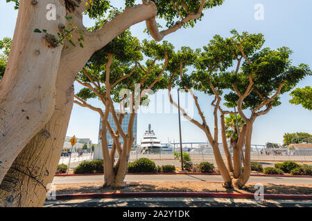 SAN DIEGO/USA - 11 août 2019 Embarcadero Marina Park, Port de San Diego. Belle journée ensoleillée, des yachts de luxe amarrés dans la Marina Banque D'Images