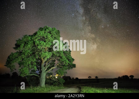 Ville, Araisi, république de Lettonie. Chêne avec voie lactée et les étoiles. 27. 2019 sept. Banque D'Images