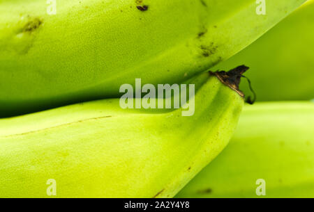 Bananes vertes sur tableau blanc gros plan Banque D'Images