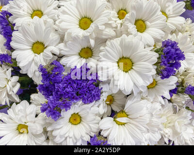 Contexte close-up bouquet de gerberas et d'autres fleurs. Selective focus Banque D'Images