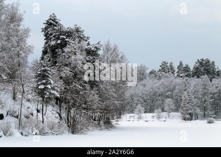 Forêt en hiver. Sur cette photo vous pouvez voir plusieurs arbres verts avec beaucoup de neige lourde sur leurs branches. Beaucoup de neige sur le sol aussi. Banque D'Images