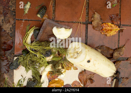 Désordre des légumes pourris sur le carrelage de marbre, close-up Banque D'Images