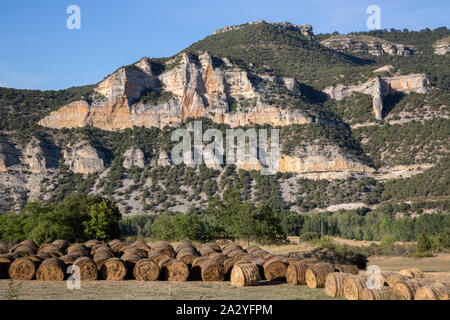 Vue près de Pesquera de Ebro avec barils de fourrage ; Burgos ; Espagne Banque D'Images