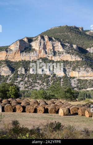 Vue près de Pesquera de Ebro, Burgos, Espagne Banque D'Images