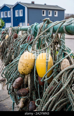 Les peuplements de crabe sur Helgoland Banque D'Images