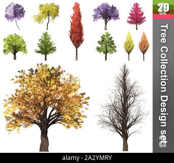 Correction de l'arbre série design. 3D Illustration. Fond blanc isoler. Nature et Jardins design. Banque D'Images
