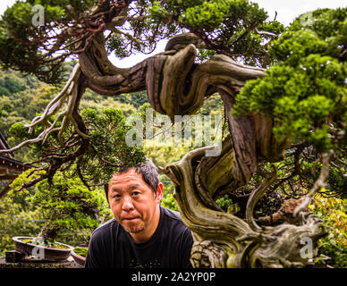 Bonsai jardinier à Izu, Japon. Maître Bonsai et propriétaire de jardin Toshio Ohsugi avec une mallette de soin de 500 ans. Selon les dossiers, l'arbre a été pris d'un rocher dans les montagnes autour de 1920. Ses racines avaient creusé une fissure dans la roche Banque D'Images