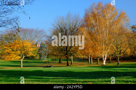 Stonegrove Park, Edgware, nord-ouest de Londres en automne avec les feuilles tombées des arbres et de couleurs changeantes. Banque D'Images