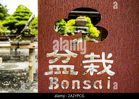 Jardin Bonsai à Izu, Japon Banque D'Images