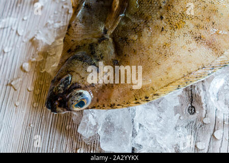 Jaune sur la glace Banque D'Images