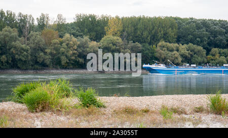 Nagybajcs Hongrie 0930 2019 un cargo passant par le Danube Banque D'Images