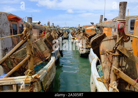 Le port de pêche de Kalpitiya Sri Lanka les bateaux de pêche, afin d'expédier des gouvernails Banque D'Images