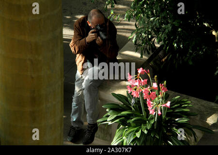 L'homme à prendre des photos de fleurs au U.S. Botanic Garden à Washington D.C., USA Banque D'Images