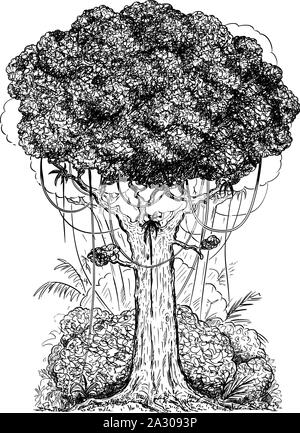 Carton vecteur plume et encre numérique illustration de l'arbre et arbustes générique de rain forest. Illustration de Vecteur