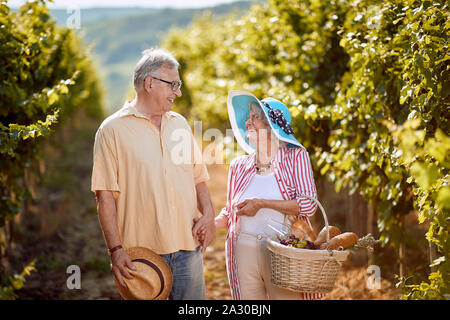 Le vin et le raisin. La récolte des raisins. Smiling senior homme et femme se produisent des raisins de la vigne Banque D'Images