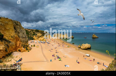 Passerelle en bois de la célèbre plage Praia Dona Ana avec l'eau de mer turquoise et de falaises, Mouettes volantes sur la plage, le Portugal. Belle plage de Dona Ana Banque D'Images