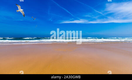 Praia da Bordeira beach près de Carrapateira, Portugal. Praia da Bordeira fait partie d'un célèbre région touristique de l'Algarve, au Portugal. Immense et magnifique wi Banque D'Images