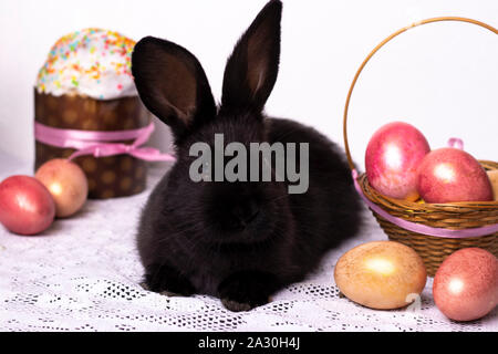 Petit lapin noir dans la composition de Pâques avec des œufs et des gâteaux de Pâques, le concept d'un ressort de l'église, photo horizontale Banque D'Images