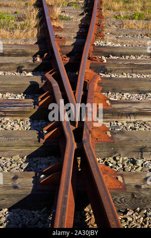 Abandonnée et Rusty rail track montrant l'interrupteur et crossing Banque D'Images