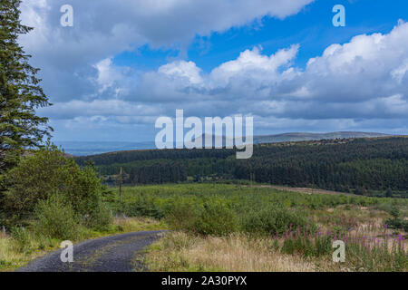 Banagher Glen, Dungiven, le comté de Londonderry, Irlande du Nord Banque D'Images