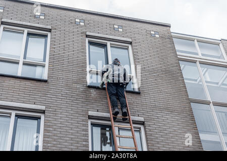 Nettoyant pour vitres sur une échelle nettoyer les fenêtres contre un bâtiment élevé de murs de brique. Banque D'Images