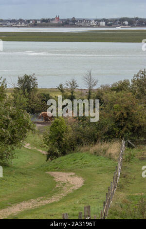 La baie de Somme vue de la chapelle des marins, le chemin descend vers le Cap Hornu, les chevaux dans un enclos au soleil. grande marée. Banque D'Images