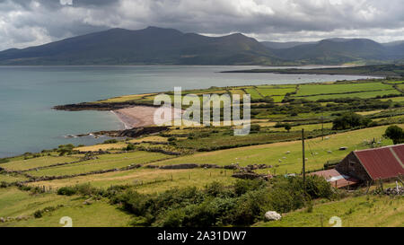 Avis de pâturage des moutons sur les pâturages de mer d'Irlande à partir de Brandon, Brandon, Murirrigane Point, comté de Kerry, Irlande Banque D'Images