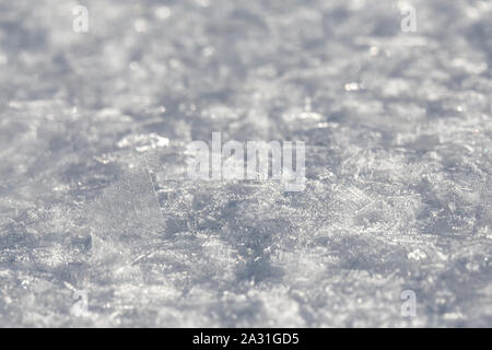 Beau, de gros cristaux de givre sur la neige froide laïcs tôt le matin dans la lumière du soleil en contre-jour. Close-up. Banque D'Images